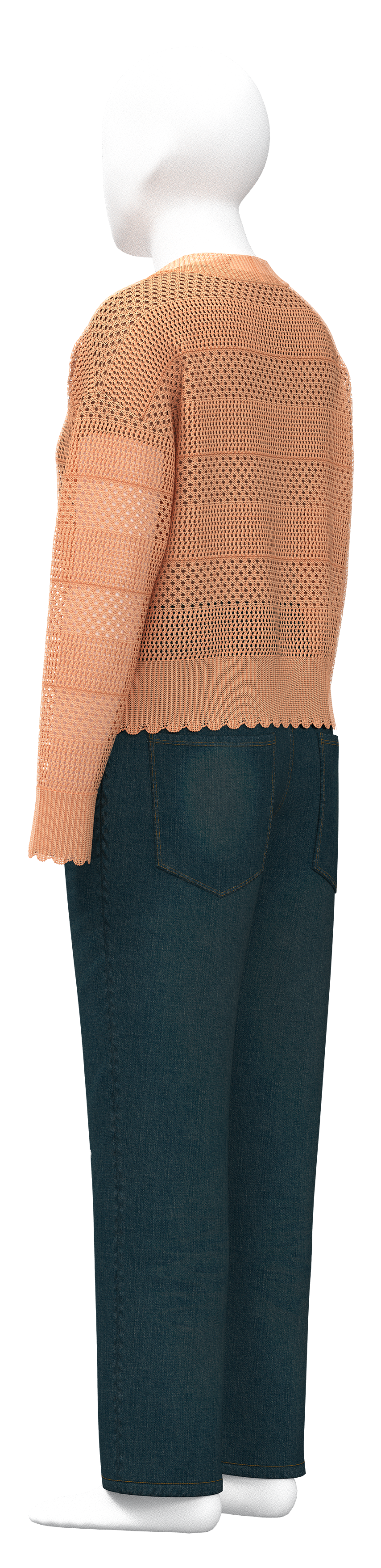 Denim Study 14 visual